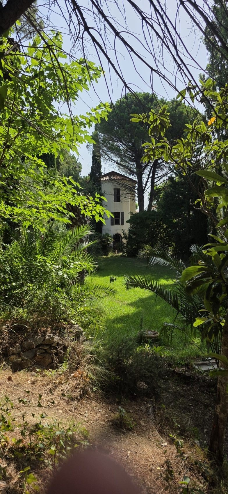 Domaine boisé